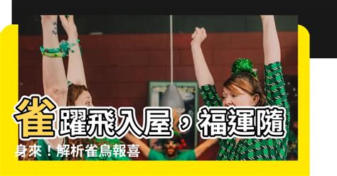 鳥飛入屋|【鳥飛進家裡代表什麼】鳥飛進家裡暗示什麼？驚人預兆揭露！